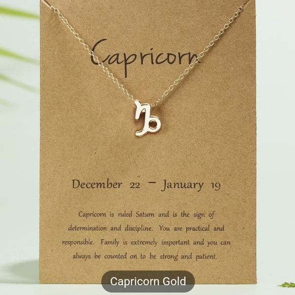 Jewelry - Zodiac Capricorn Sign Fashion Necklace